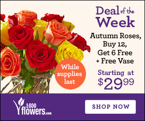 Deal of the Week! Exotic Breeze Orchids + Free Vase Only $34.99! (Reg. $61.99). Order Now at 1800flowers.com! (While Supplies Last) - 300 x 250