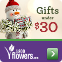 Holiday Flowers & Gifts under $30 at 1800flowers.com! (Offer Ends 12/22/2013)