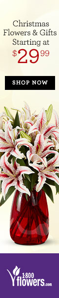 Send a smile with truly original flowers, plants & gifts starting at $29.99 only at 1800flowers.com!