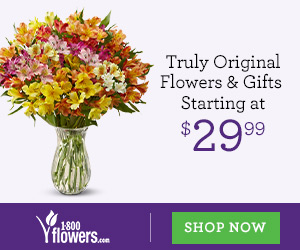 Flowers and Gifts Starting at $29.99 only at 1800flowers.com