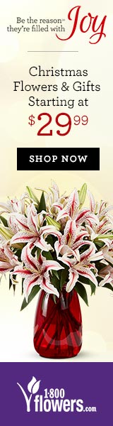 Make it a Truly Original Christmas with flowers and gifts starting at $29.99! Shop Now at 1800flowers.com (Offer Ends 12/23/2012) - 160x600