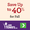 Save up to 30% on truly original flowers, plants & gifts only at 1800flowers.com!