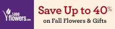 Spring it on! Save up to 30% on beautiful flowers & thoughtful gifts only at 1800flowers.com