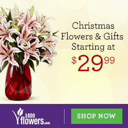 Christmas Flowers & Gifts starting at $29.99 and be the reason they're filled with joy! (Offer valid until 12/22)