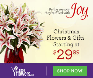 Celebrate Christmas with a Smile! Flowers & Gifts Starting at $29.99. Only at 1800flowers.com (Offer Ends 12/31/2013)