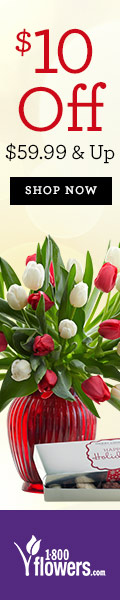 Truly Original ways to Brighten Winter Days. Save $10 on purchases of $59.99 & up at 1800flowers.com! Use Promo Code: TENDOLLARS at checkout.