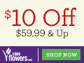 Wow Her! Don't Settle for Less! Save $10 on thoughtful Valentine's Day purchases of $59.99 & up only at 1800flowers.com! Use code 10VDAY13 at checkout. (Offer Ends 02/14/13)