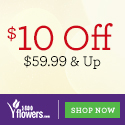 Save $10 on purchases of $59.99 & up on Flowers and Gifts! Celebrate Fall with a Smile at 1800flowers.com. Use Promo Code: FLWSTEN at checkout.