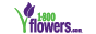 1800flowers.com Logo - 88x31  White Background