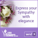 When you just don't know what to say... Express your Sympathy with elegance at 1800flowers.com