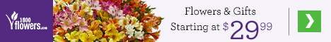 Flowers and Gifts Starting at $29.99 only at 1800flowers.com