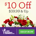 Save 15% on flowers & gifts and be the reason they have a 