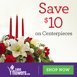 Share the Joy of Christmas! Shop Christmas Flowers & Gifts Starting at $19.99. Only at 1800flowers.com! (Offer Ends 12/24/2014)