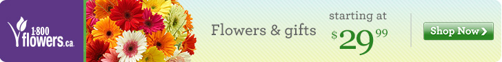 Fresh Flowers & Thoughtful Gifts Starting at $29.99 only at 1800flowers.ca!